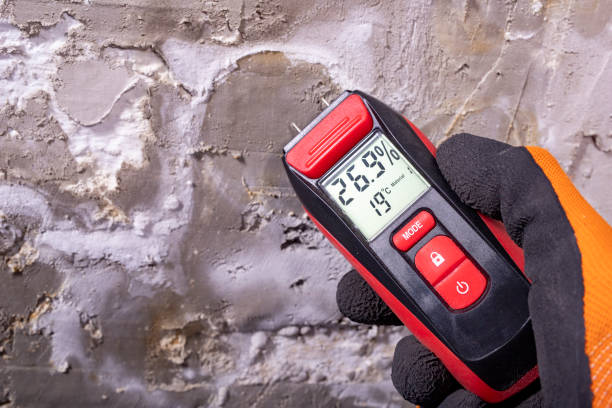 Best Certified Mold Removal  in University, MS